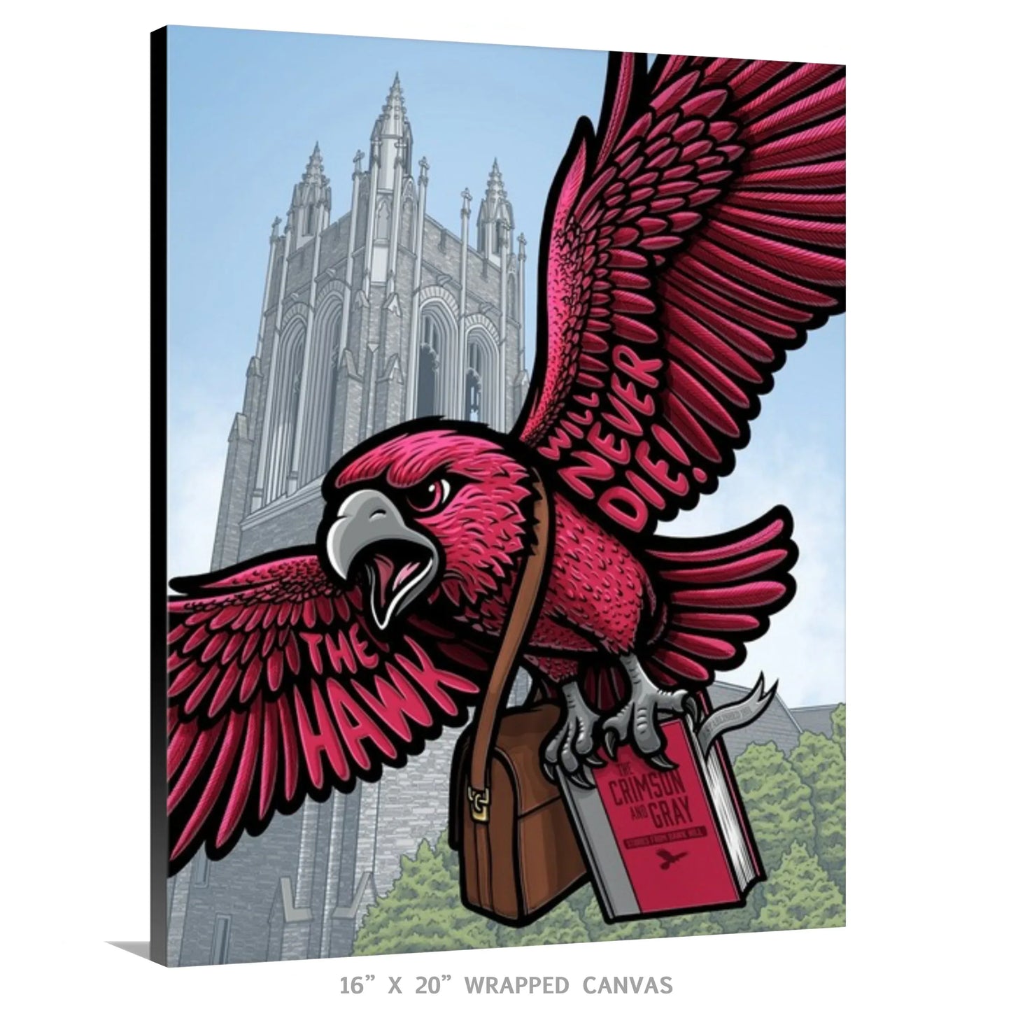 "Hawk Hill" Saint Joseph's University Limited Edition Print - Nick Fasnacht Illustration & Design
